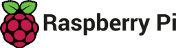 Raspberry Pi logo icon